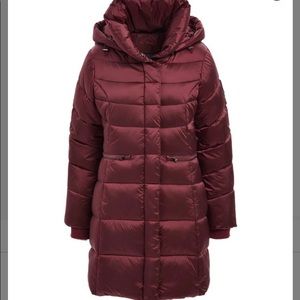 Steve Madden Merlot Hooded Waist Pocket Puffer